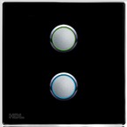 2-клавишная беспроводная кнопочная Smart панель, EU стандарт.