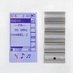 Клавишная настенная панель с экраном DLP slim, EU стандарт